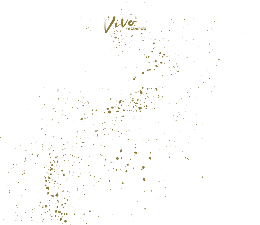 dev40.vivorecuerdo.es